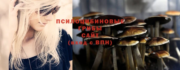 соль ск Верхний Тагил
