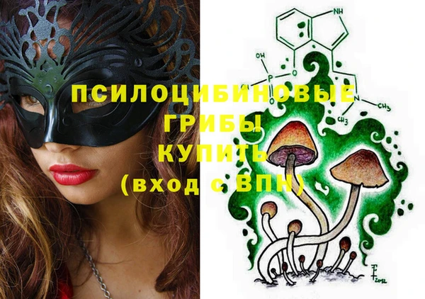 соль ск Верхний Тагил