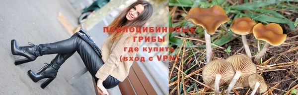 соль ск Верхний Тагил