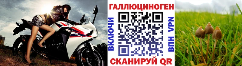Галлюциногенные грибы MAGIC MUSHROOMS  Камешково 