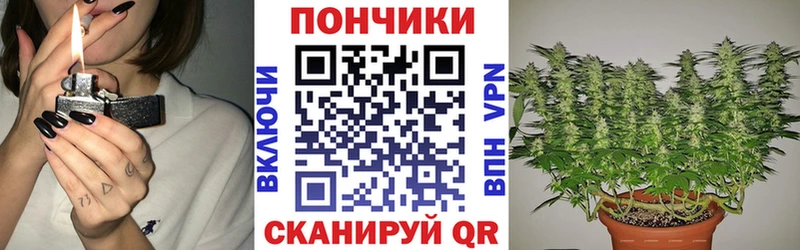 Марихуана Bruce Banner  купить наркотики цена  Камешково 